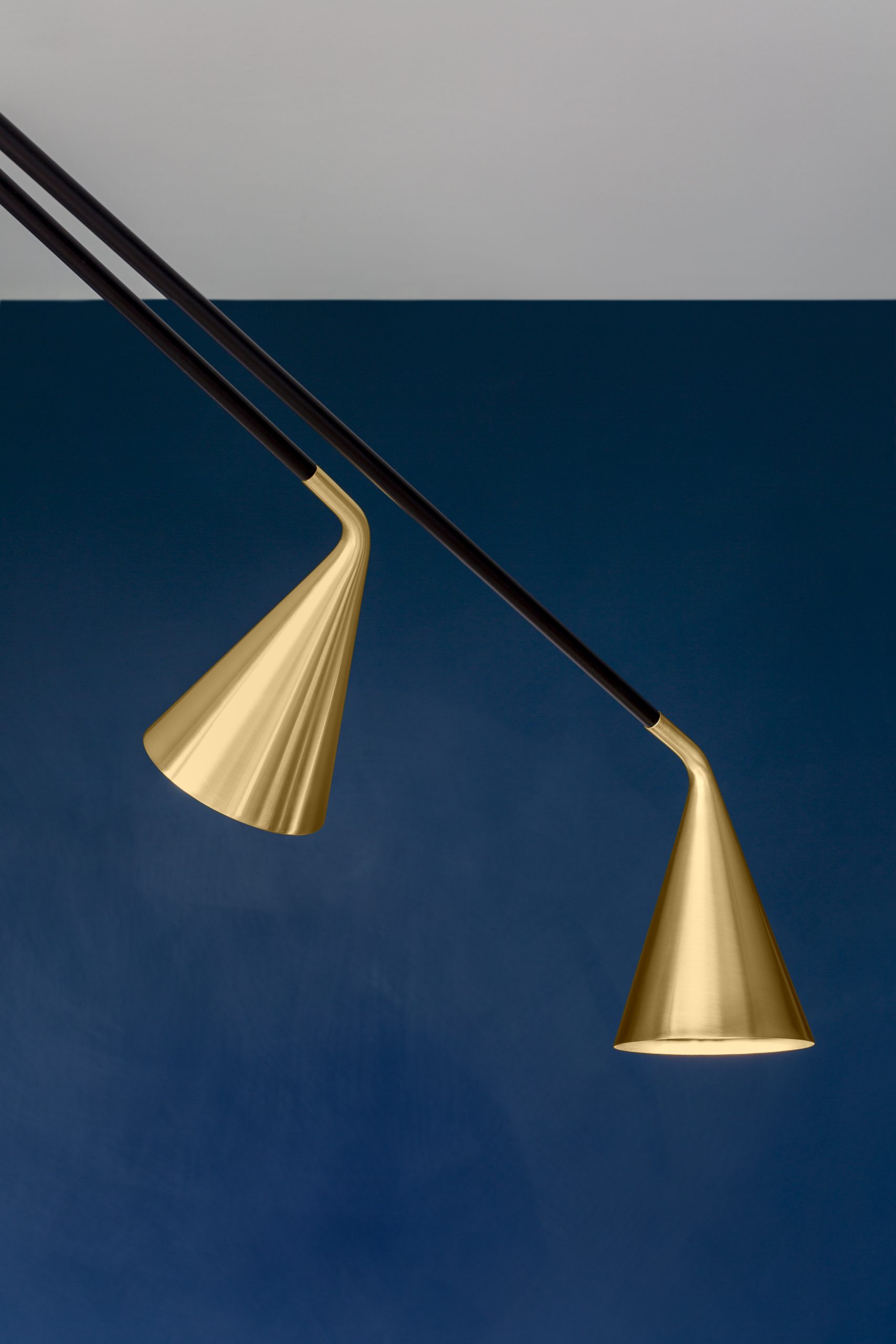 561.13abc C2+C41 detail