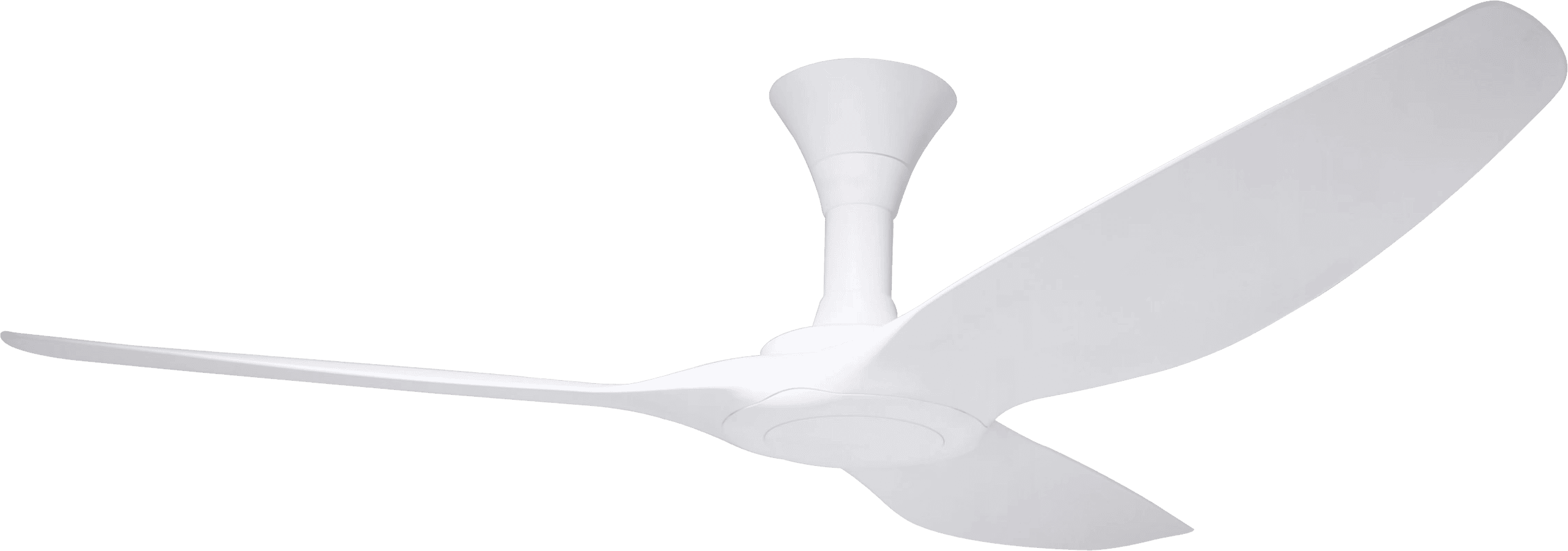 Typhoon RS White + White NL